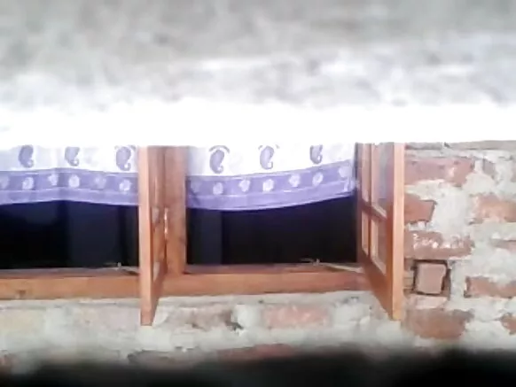 Sri lankamanta aislado q'uñi puqusqa videokuna.