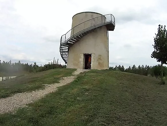 Kutimurqa wiñasqa tusuq q’ala mamanpa servichikusqan qipata.