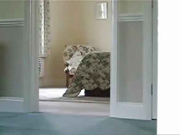 Puqusqa warmikunapa chiqap cams, pakasqa pakasqa cams.