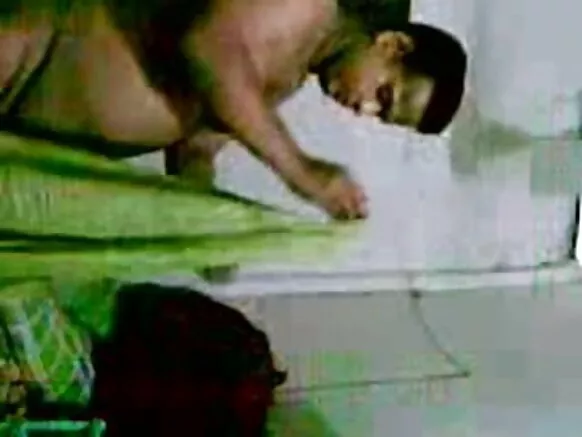 Chiqap india tia wasipi ruwasqa saree qusanwan puñuchkaptin.